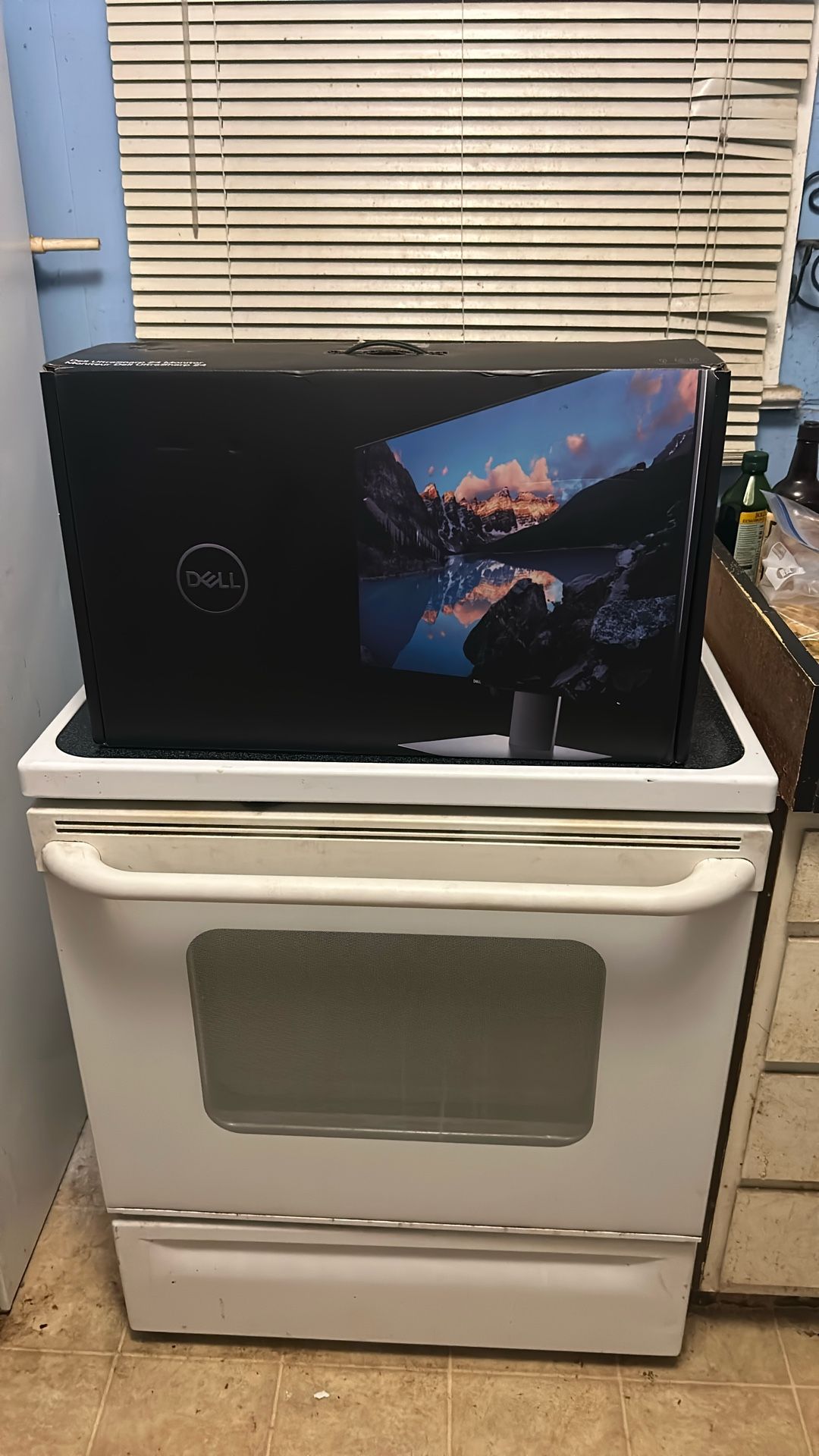 Dell Monitor 