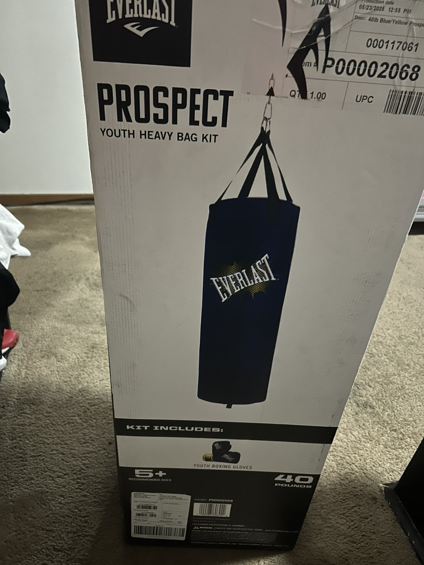 Youth Boxing Bag And Gloves