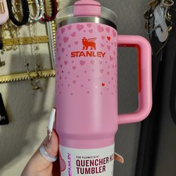 30oz Stanley Brand New