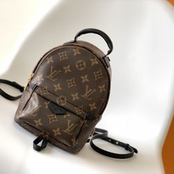 Louis Vuitton Ladies' classic handbag