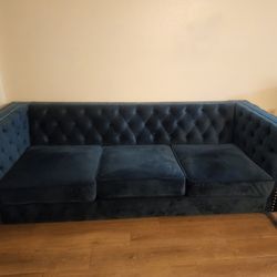 Blue Velvet Couch and Chair