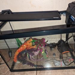 Fish Tank 20 Gallon Full Setup