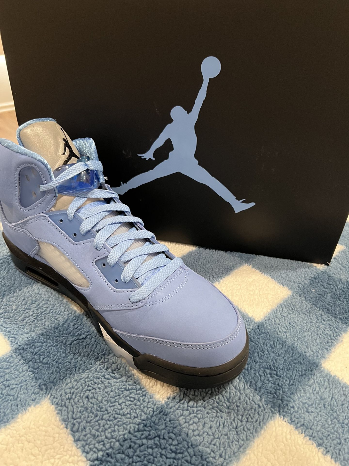 Air Jordan 5 Retro SE