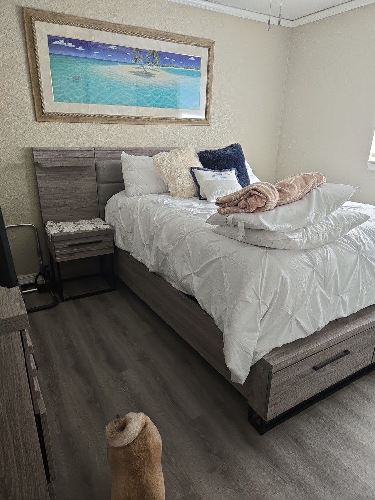 Queen Bed Frame / No Mattress