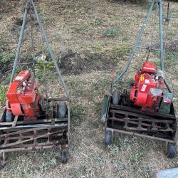Lawn Trimmers (Briggs And Stratton Original) 