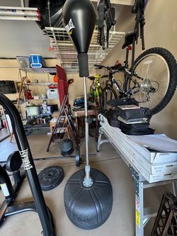 Everlast Reflex Punching Bag on Stand