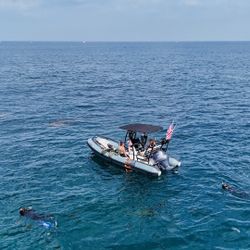 2025 'Custom Rebuild' Novurania DL550 'RHIB' — Yamaha 115 — Trailer Included — $49,500 FIRM 🔥