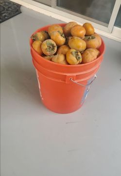 Organic Persimon $20