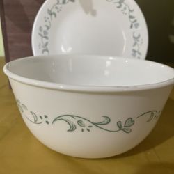 Cornell Deep Soap Or Cereal Bowl With tu Dish. Green Leaves Floral Design