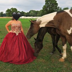 Quinceanera Dress