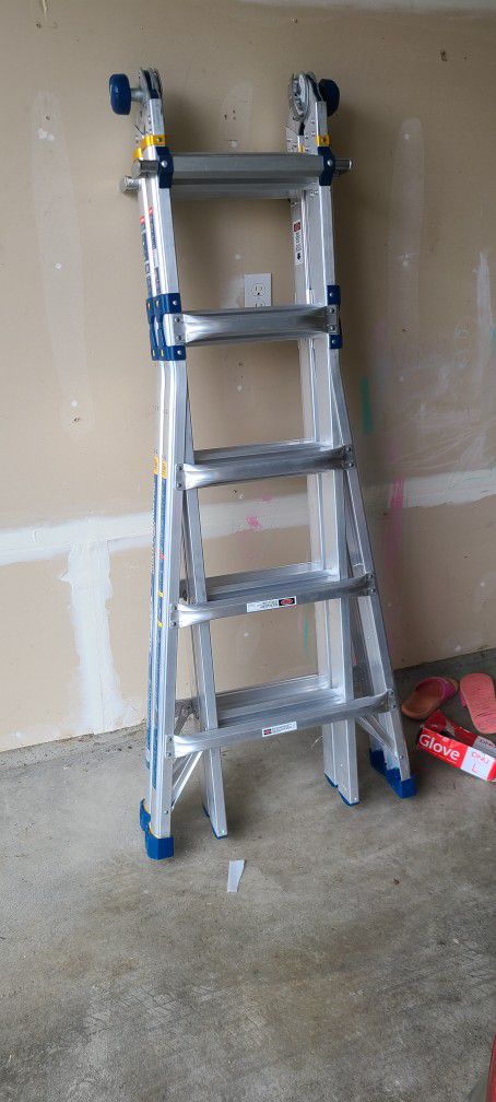 Werner 22 ft. Reach Aluminum 375 lbs. Load Ladder