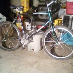 Trek Singletrack Mountain Bike