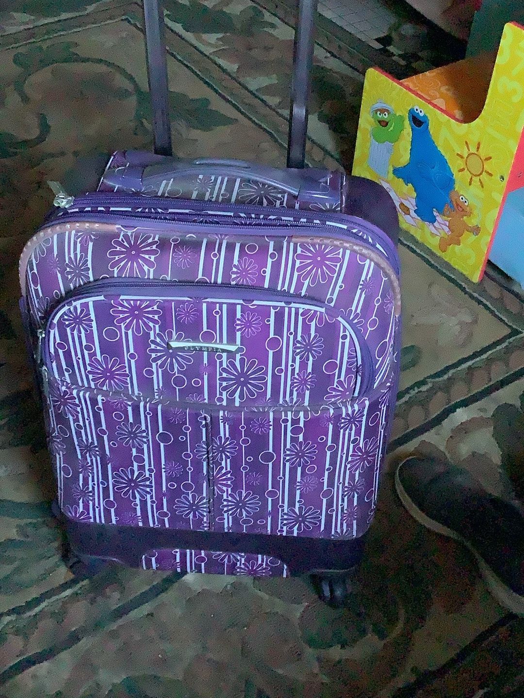 Traveling Case