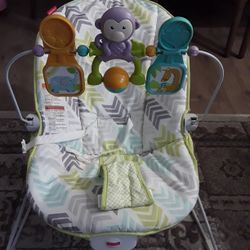Baby Bouncer 