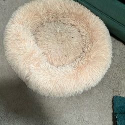 Cat Bed