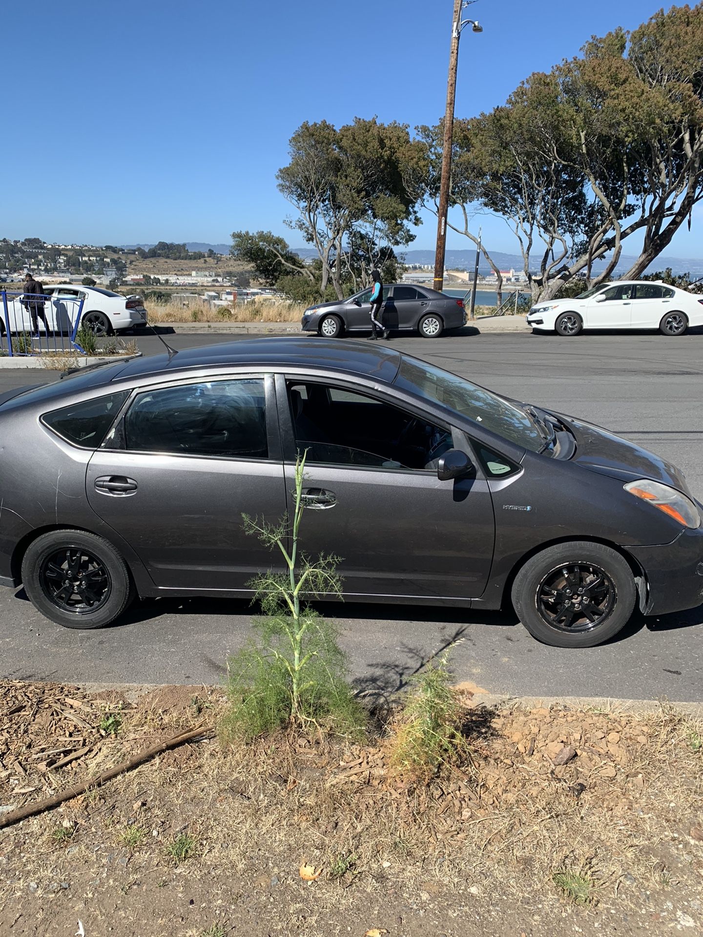 2007 Toyota Prius