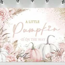 Various Baby Shower Decorations 