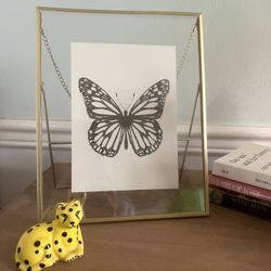 Frame Butterfly Decor