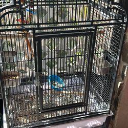 Bird Cage For Sell 