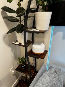 Moving sale flash give. Take the whole shelf and plants