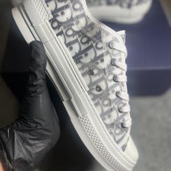 Dior Shoes 