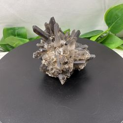 Crystal Smokey Quartz Cluster 