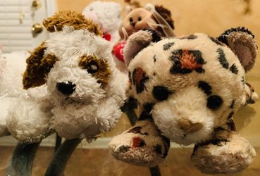 Cute Baby Puppy & Leopard Friends