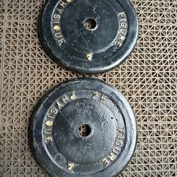 Weights plates
