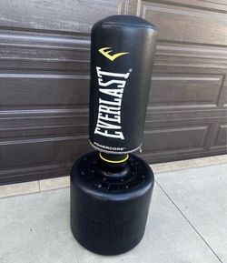 Everlast Powercore exercise like new