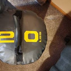 Everlast 20lb Power Core Fit Bag