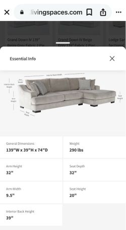 Living Spaces Couch