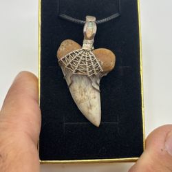 Mako Shark Tooth Necklace Sterling Silver With Opal 