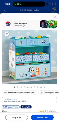 Bluey toy box