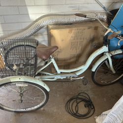 Women’s 3 Wheel Bike