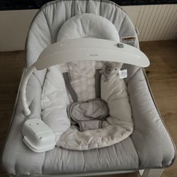 Ingenuity Baby Bouncer 