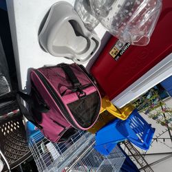 Dog Case For Chihuahua $20