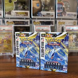 Silver Tempest Build & Battle