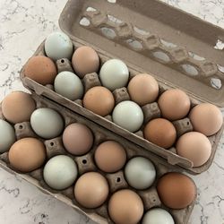 Free Range Chicken Eggs 