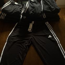 Adidas pants Tito 23 brand new