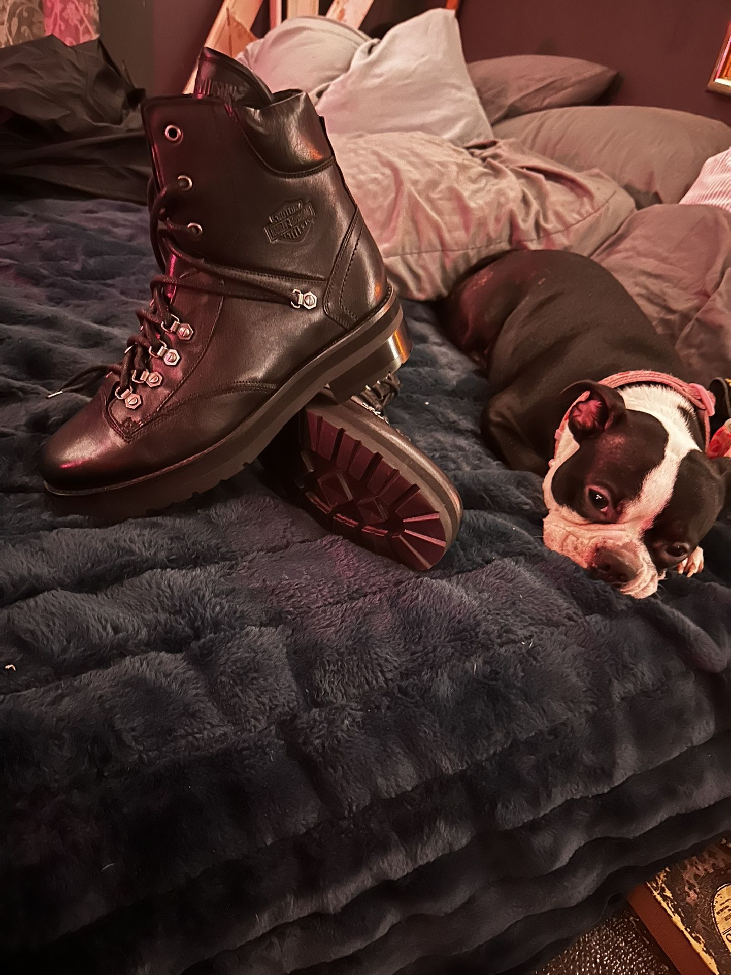 Women’s Harley Davidson Boots 