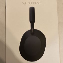 Sony W-1000XM5