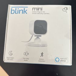 blink mini