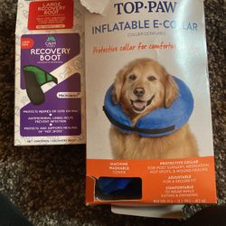 Dog Recovery Boot Large & E-collar 