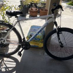 Diamondback Apex 29 Large
