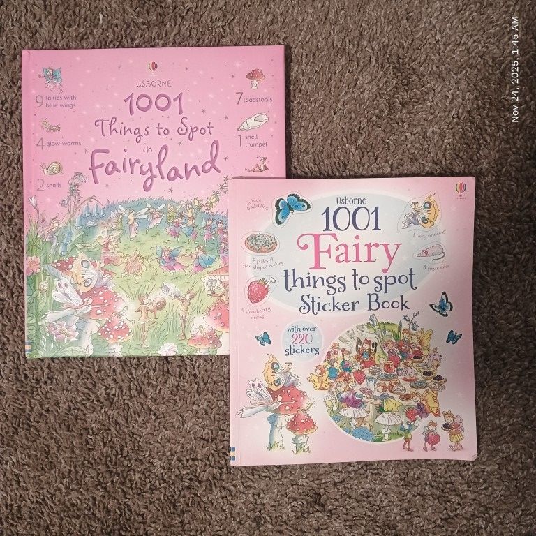 1001 Things To Spot In Fairyland, And A Sticker Book