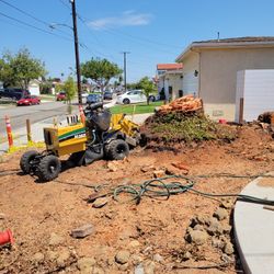Stump Grinding Messge, Tree Messge