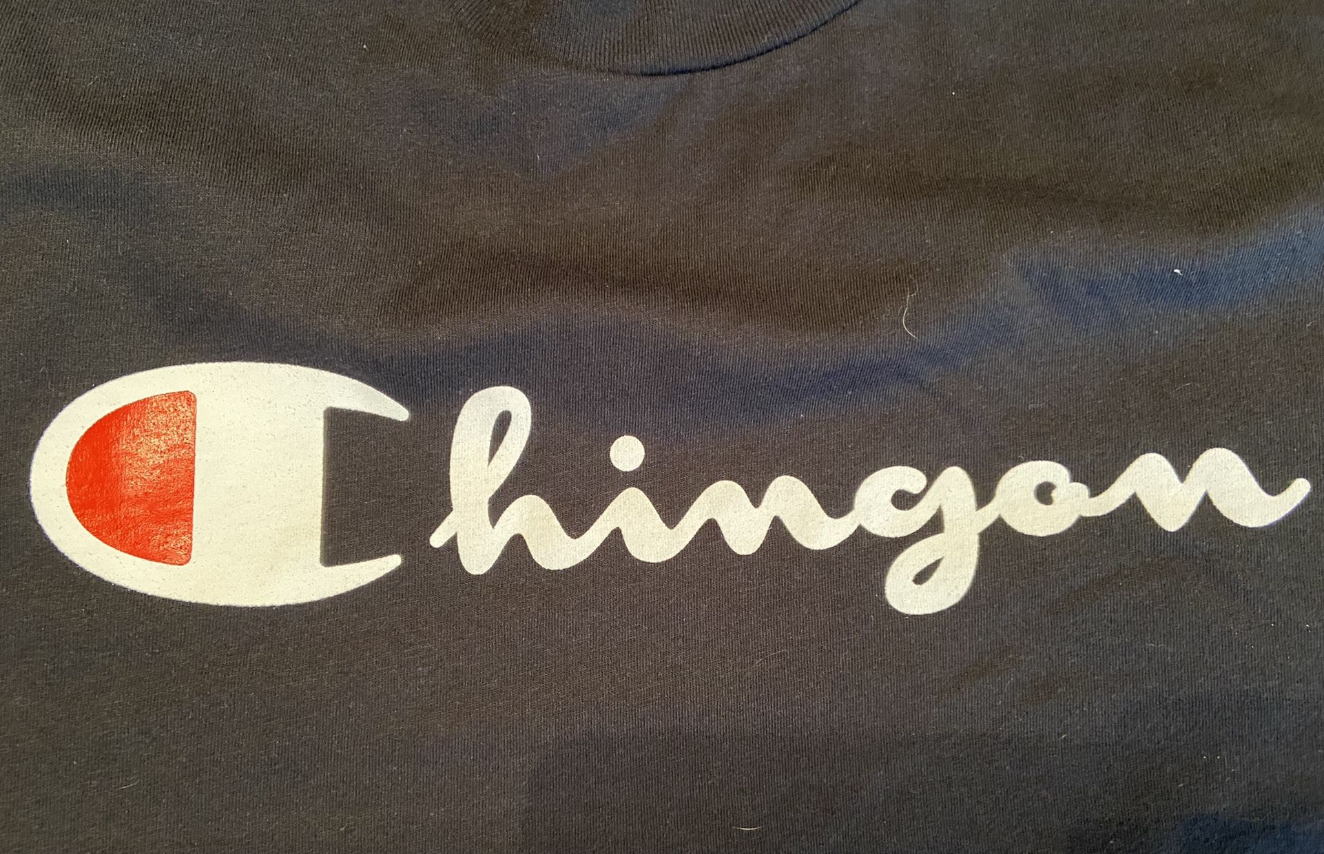 Fake champion t shirt 2025