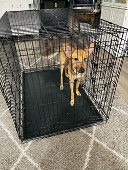 48x29x32H XL Dog Cage