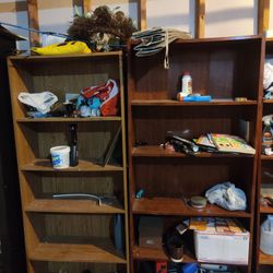 Free Bookshelves 