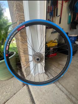 DT swiss pees 29 Wheel + Tire + Shimano HG (GS-HG 400-9)